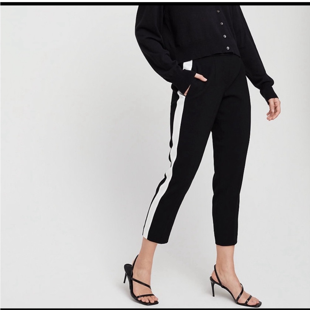 ARITZIA BABATON DEXTER black white-striped, tapered pants with pocket.